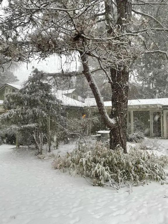 Mulberry Pines - B&B