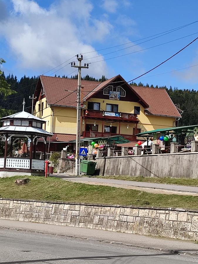 Edelweis Floare de Colt - B&B