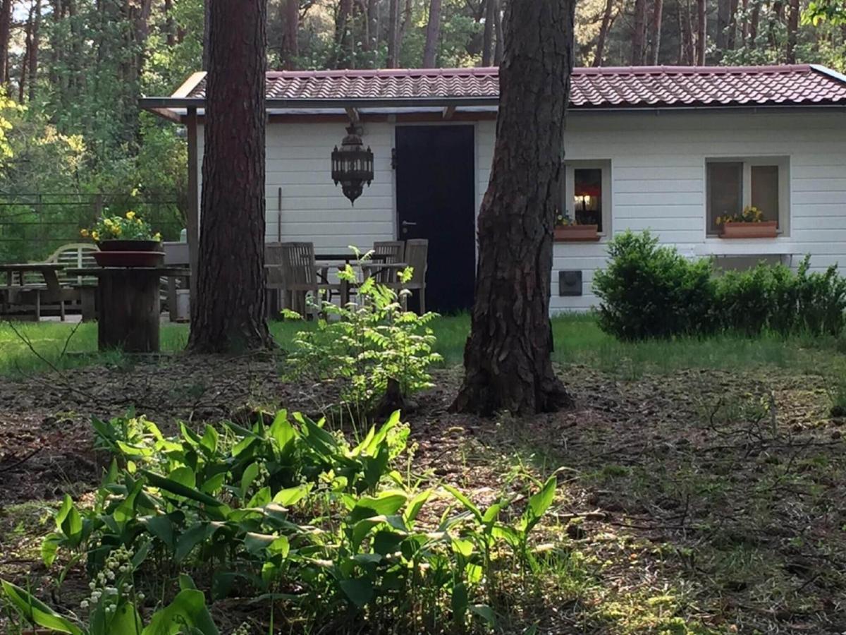 One-Bedroom Bungalow