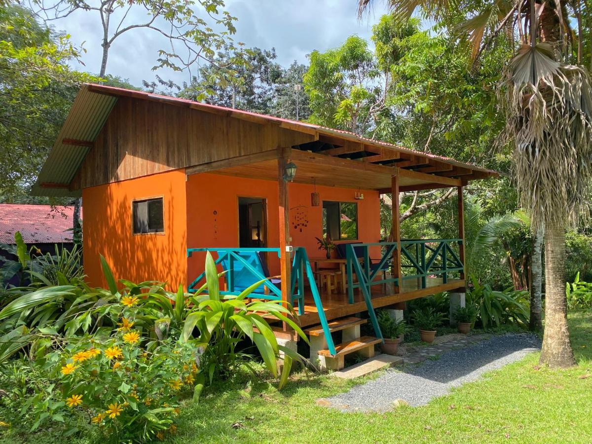 Casa Colores - B&B