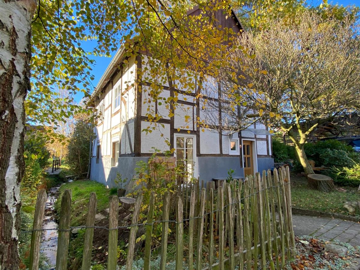 Gemütliches Ferienhaus im Extertal/ Lippe - B&B