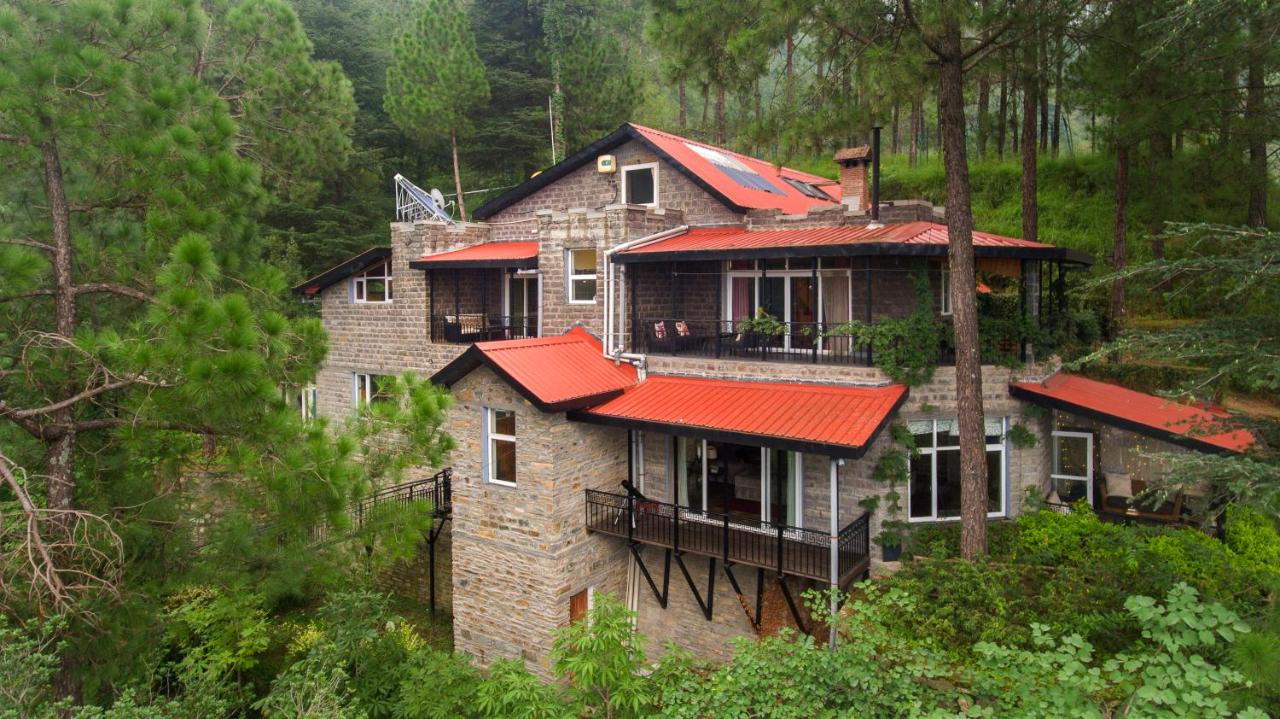 B&B Shimla - SaffronStays Ekam, Chail - forest villa near Chail cricket ground - Bed and Breakfast Shimla