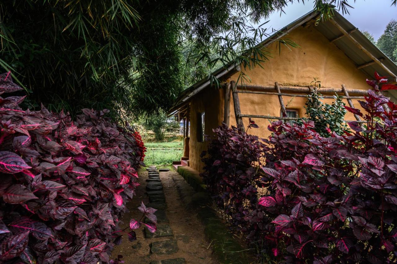 Premium Mud House