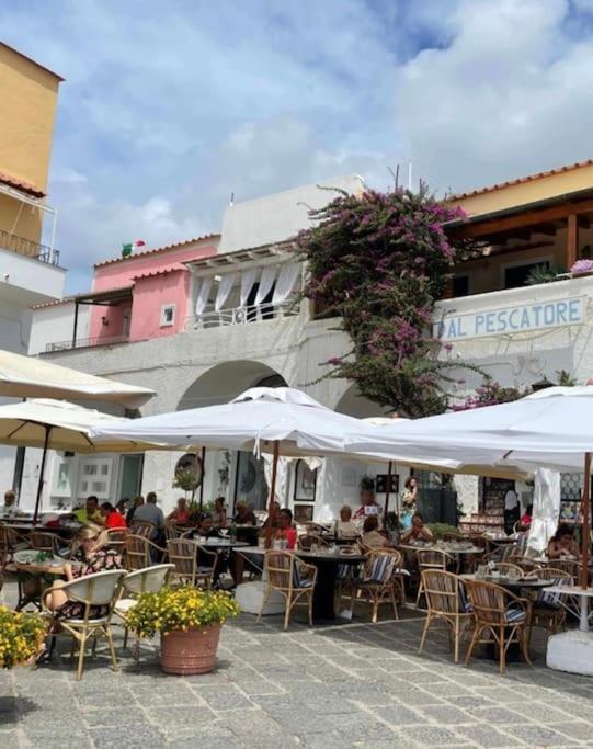 MARE NOSTRUM - BeachFront House - Sant'Angelo Ischia - Ferienwohnung