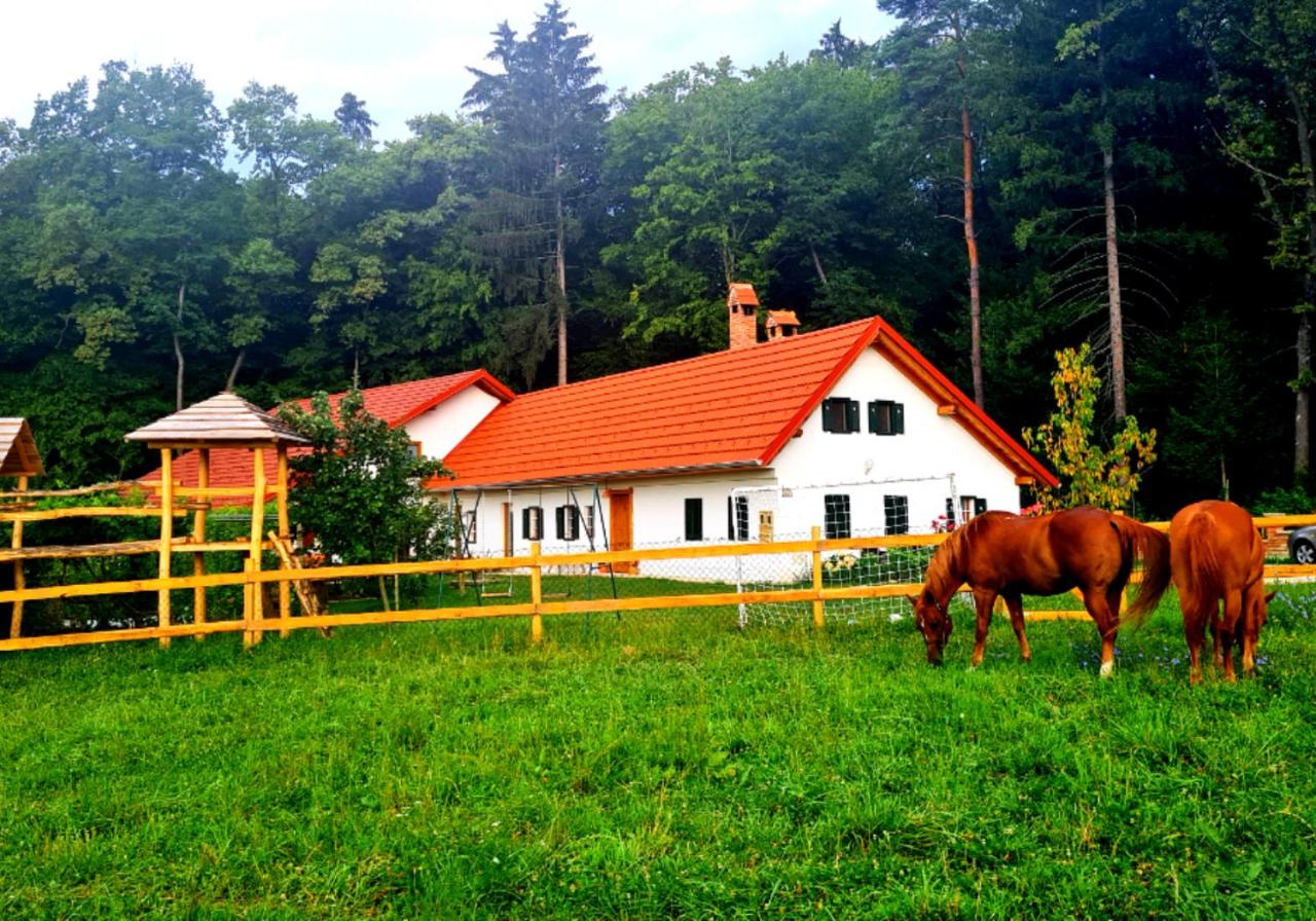 B&B Ptuj - Turistična kmetija Hiša ob gozdu pri Ptuju - Bed and Breakfast Ptuj