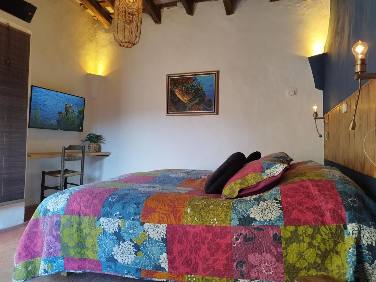 Superior Double or Twin Room with Terrace