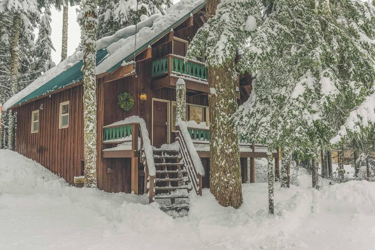 Moosewood Cabin - Meredith Lodging - B&B Government Camp