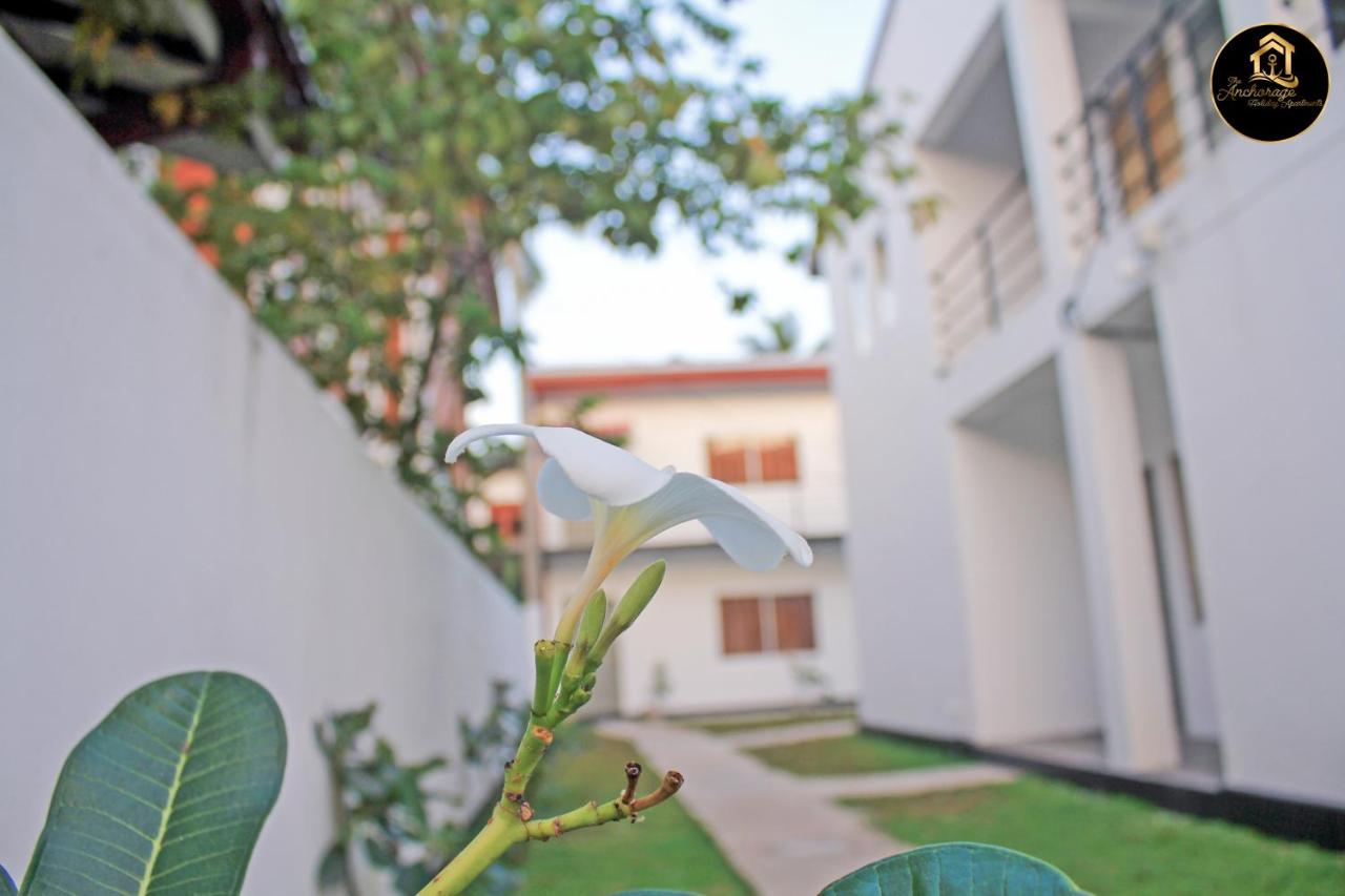 B&B Negombo - The Anchorage Holiday Apartments - Negombo - Bed and Breakfast Negombo