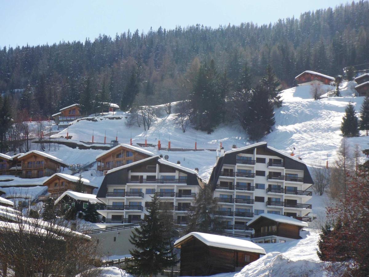 Appartement Mont Parrain 14 - Ferienwohnung