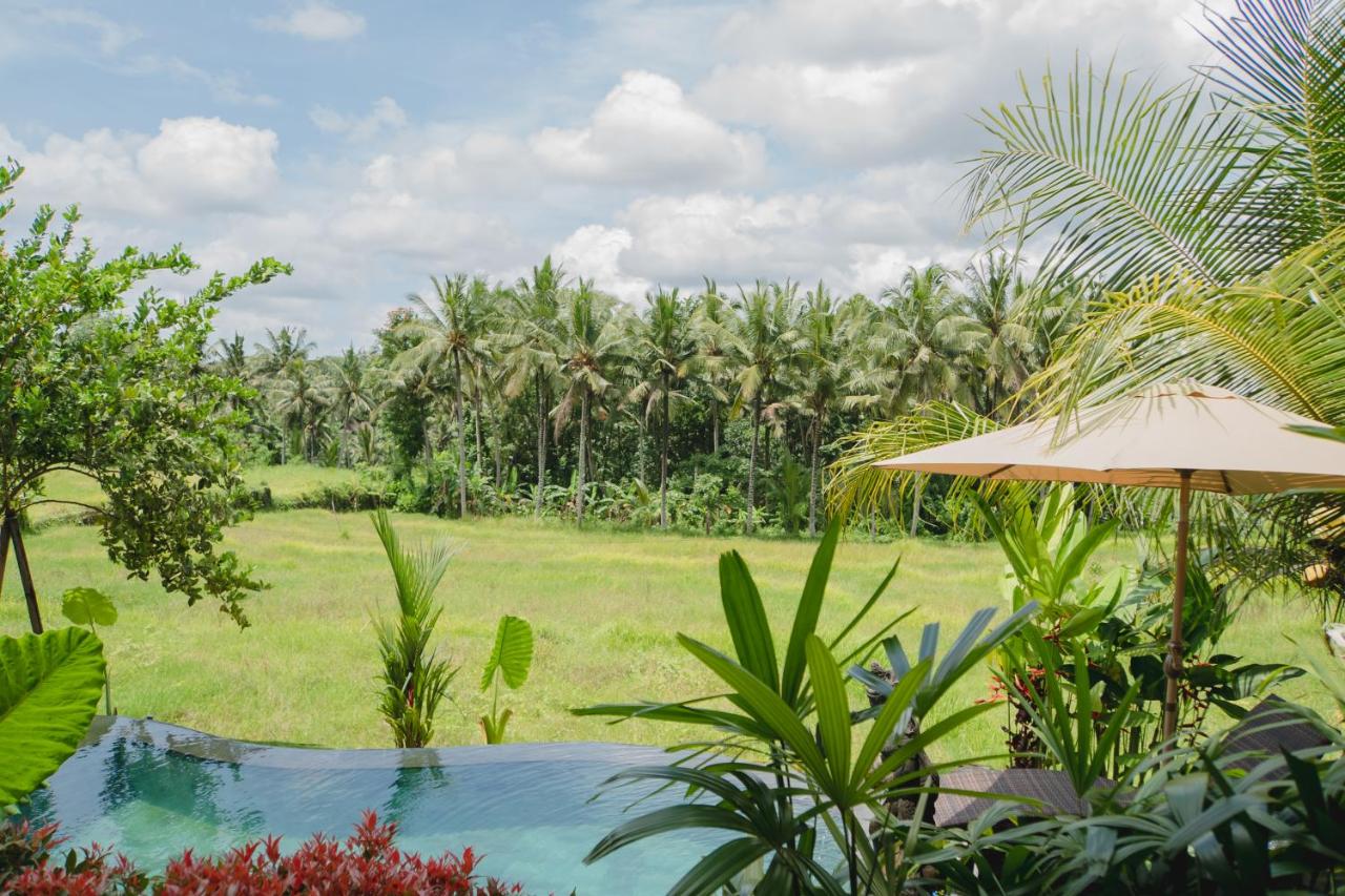 Mancur Guesthouse - B&B Ubud