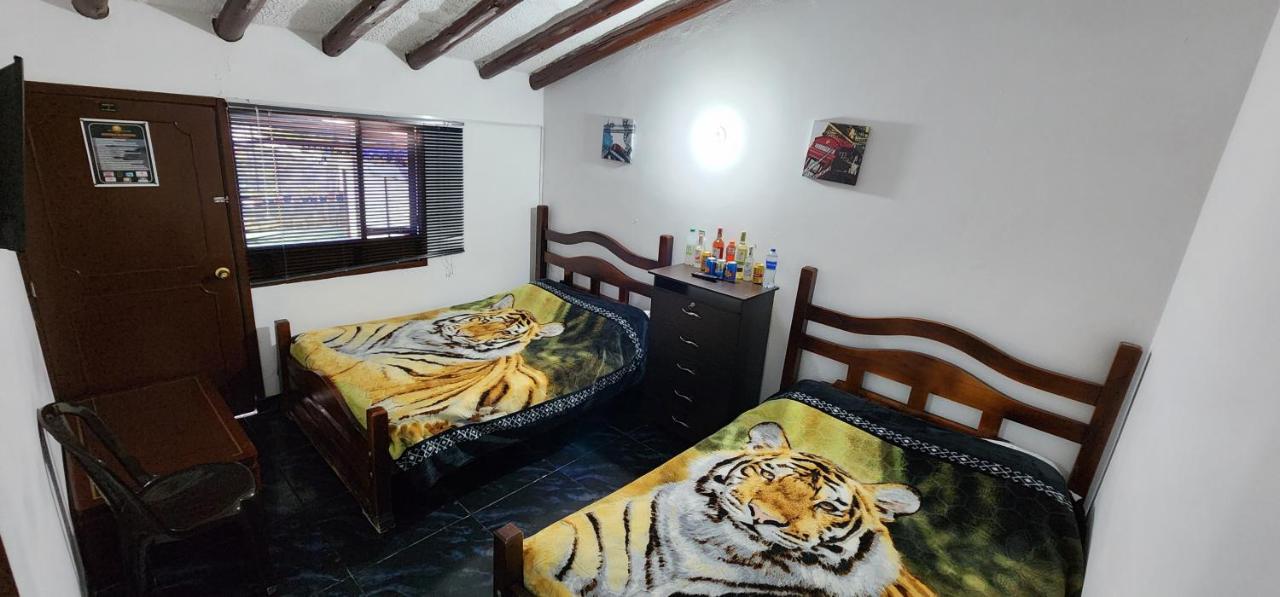 Twin Room with Private Bathroom