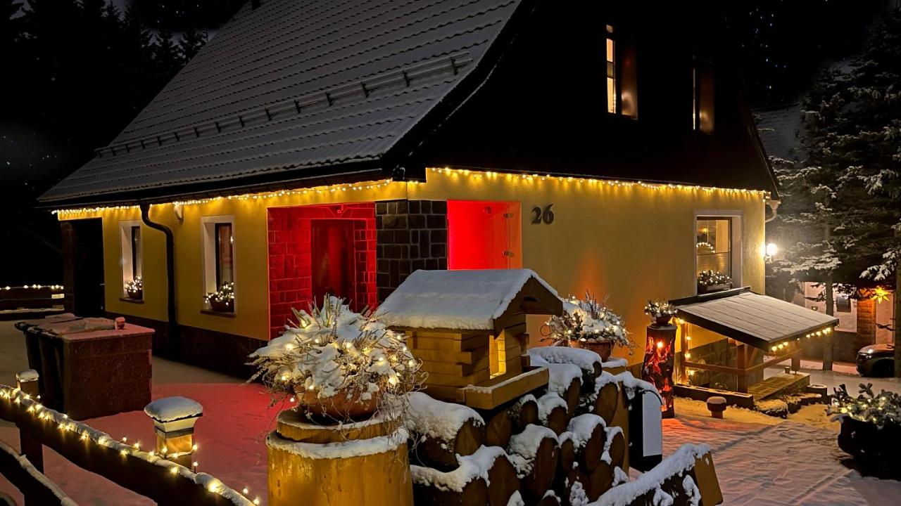 Ferienwohnung-direkt-am-Skihang mit Sauna - Ferienwohnung Oberwiesenthal