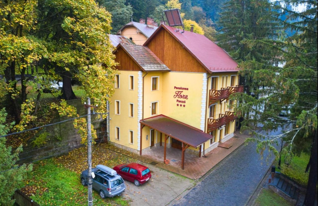 Pensiunea Flora - Ferienwohnung