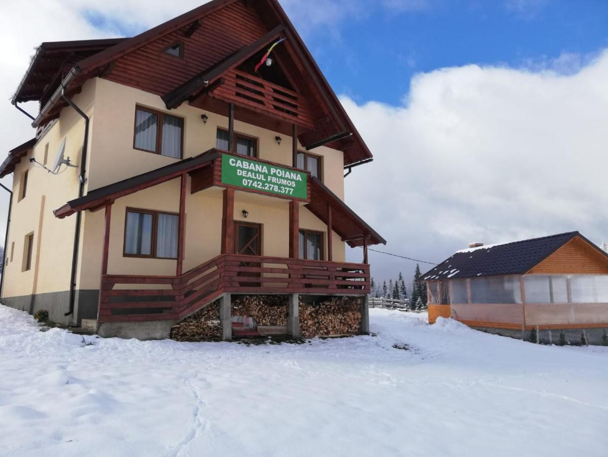 Cabana Poiana Dealul Frumos - Ferienwohnung Gârda de Sus