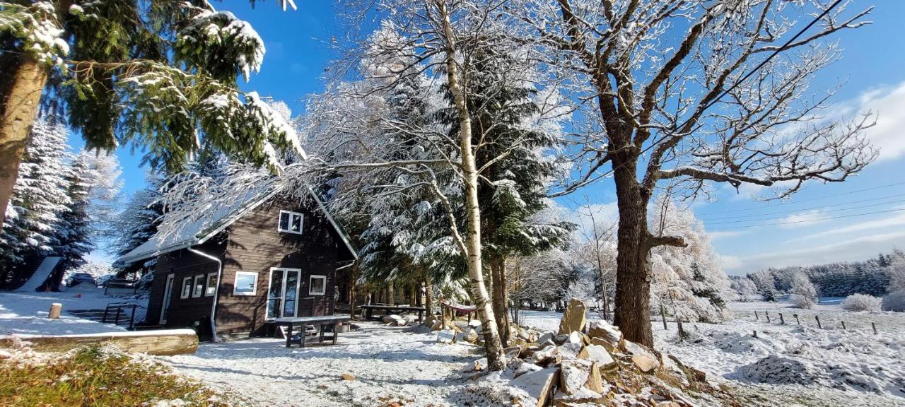 B&B Lasówka - Domek z widokiem na góry Lasówka 5km do Zieleniec Ski Arena - Bed and Breakfast Lasówka