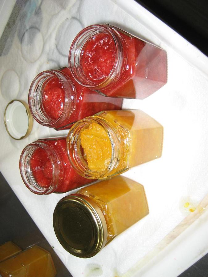 Pension Pure - B&B Iiyama