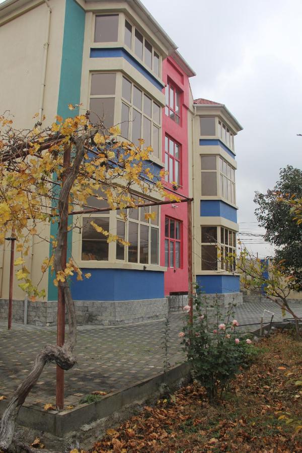 Colour - Bed and Breakfast