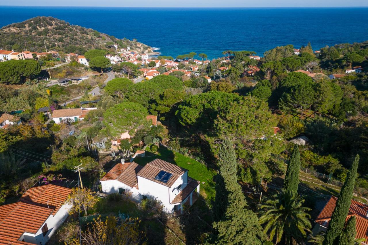 B&B Sant'Andrea - Villa Caterina Quiete e Mare-Goelba - Bed and Breakfast Sant'Andrea