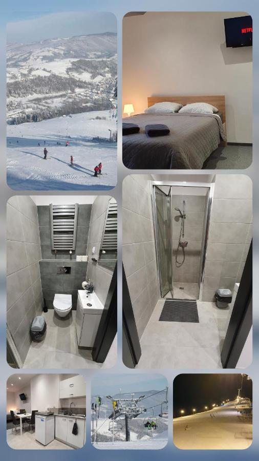 Appartement 1 Chambre