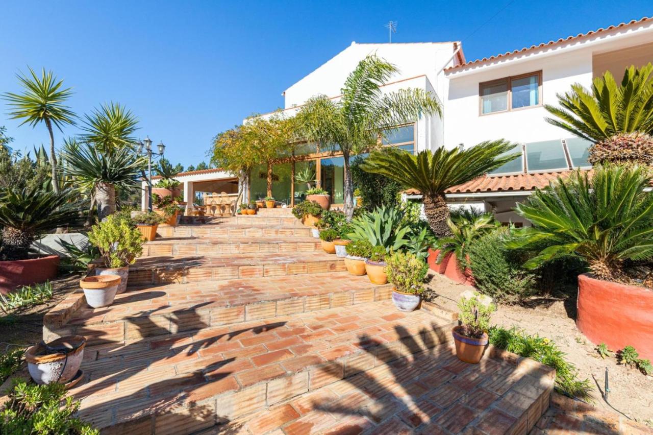 Casa do Palmeiral - Hoom B&B - B&B Montes de Cima