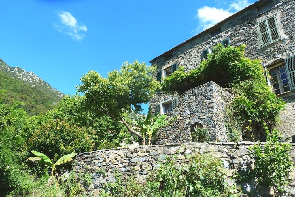 Authentique Maison de Village Corse Vue mer - B&B