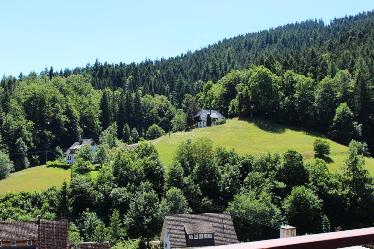 Ferienwohnung Schwarzwaldblick - B&B Bad Rippoldsau-Schapbach