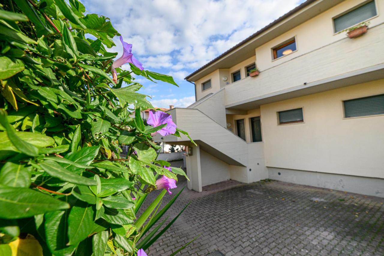 Elbamar Marina Di Campo - B&B