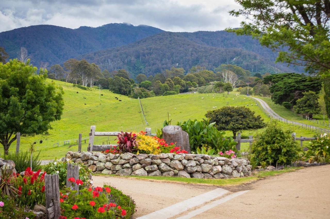 Henkley Cottage 4 Daniel - B&B Central Tilba