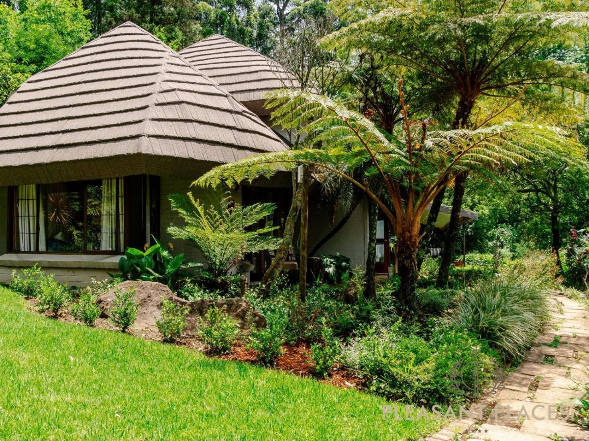 Pleasant Places By Sanaandi - B&B