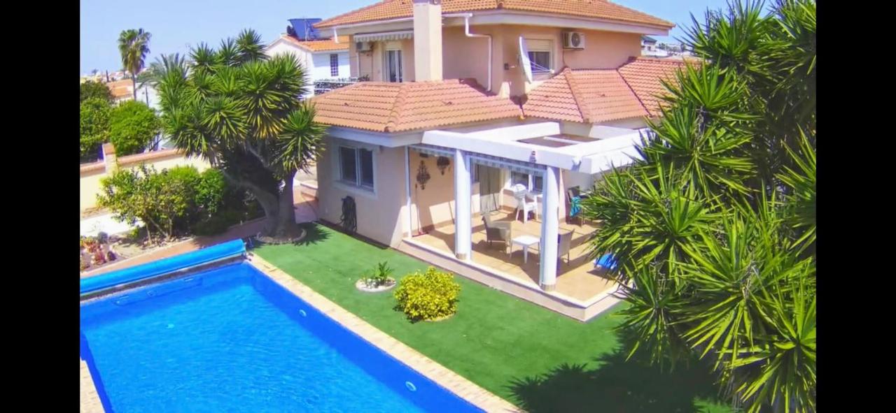 Sunny Florida - B&B Torrevieja