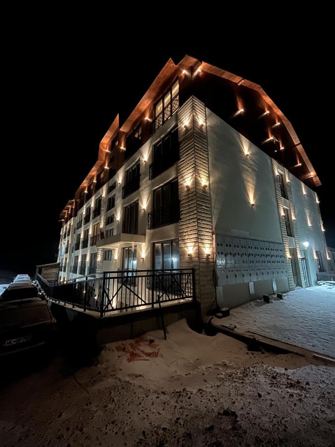 President Kop - Silver Ice Apartment - B&B