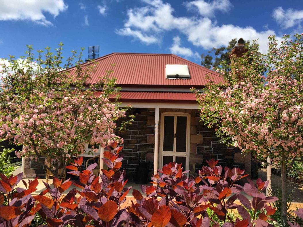 B&B Gumeracha - Randell Cottage - Adelaide Hills - Cosy Rustic Hideaway - Bed and Breakfast Gumeracha