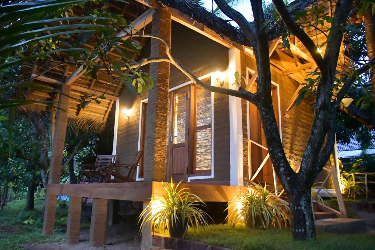 Coco Eco Lodge - Bed and Breakfast