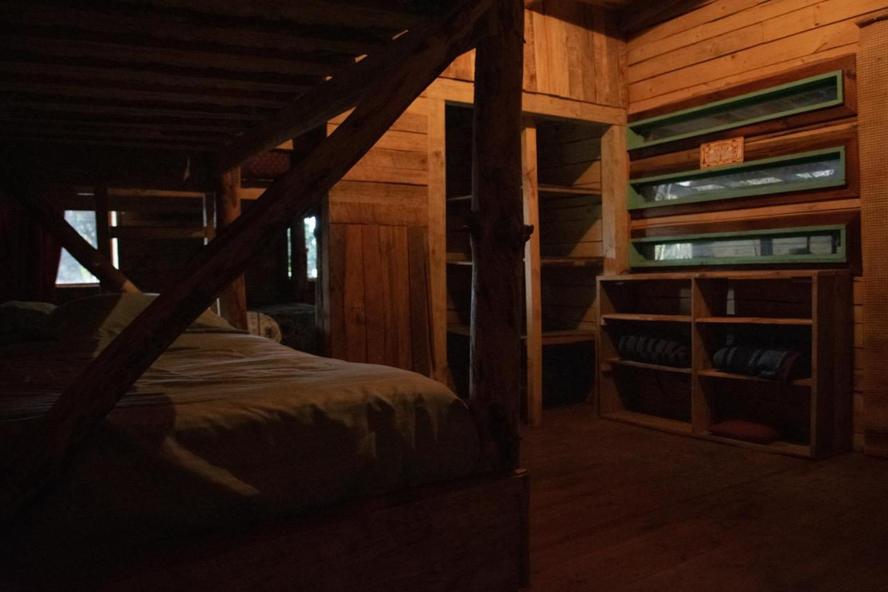 Single Bed in 6-Bed Dormitory Room