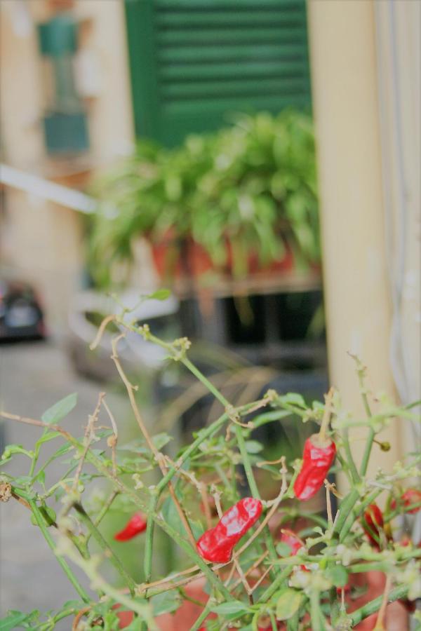 Casa Maria - B&B Napoli