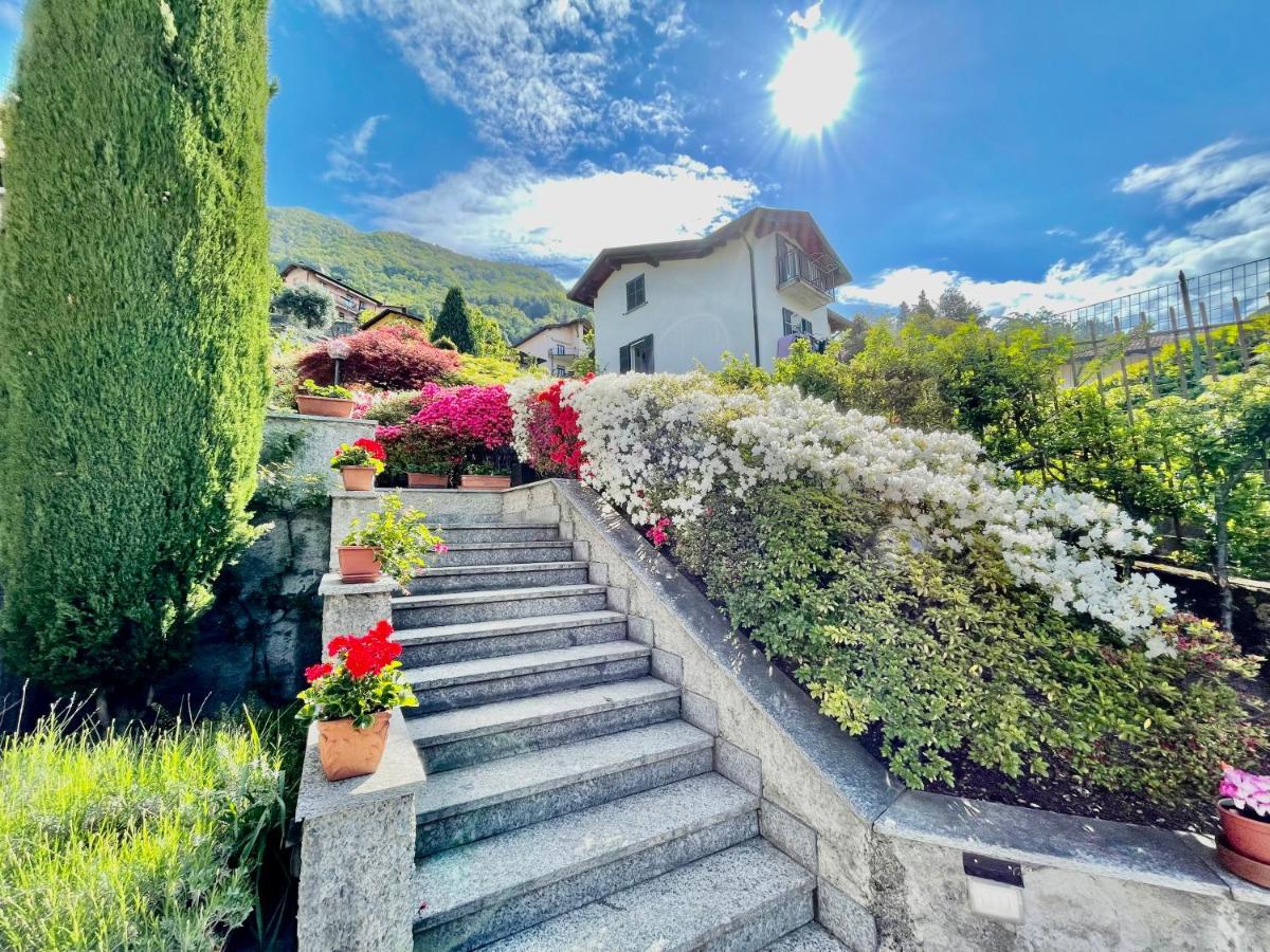 Eden sul Lago di Como - B&B
