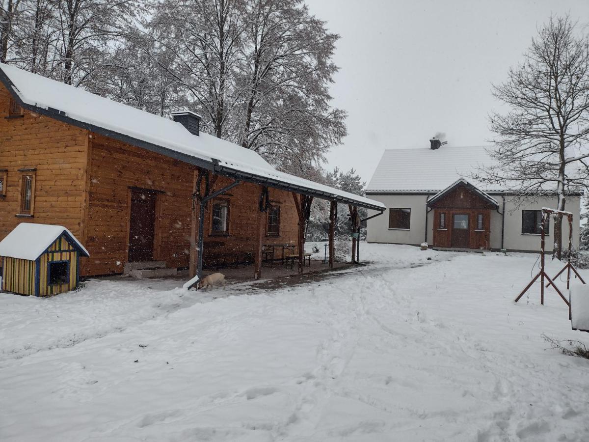Kolorowe Wzgórze agroturystyka i konie - Bed and Breakfast Trojanów