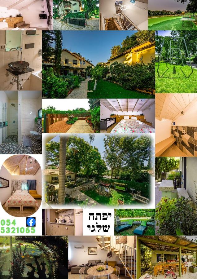 Nuriel Fruit & Guest House - B&B
