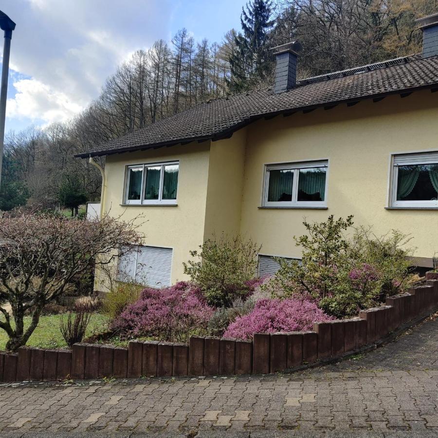 Ferienwohnung Haseltal - B&B