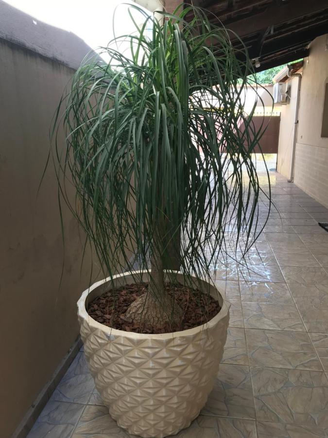 Pousada da Benção - B&B
