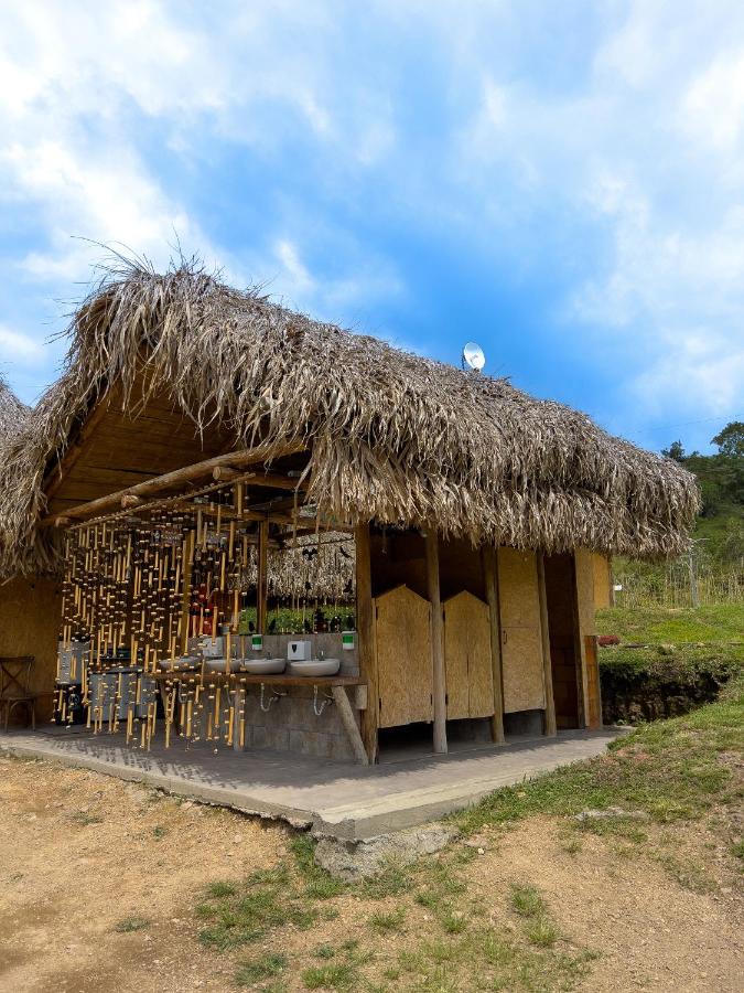 Camera Singola Standard con Bagno in Comune 