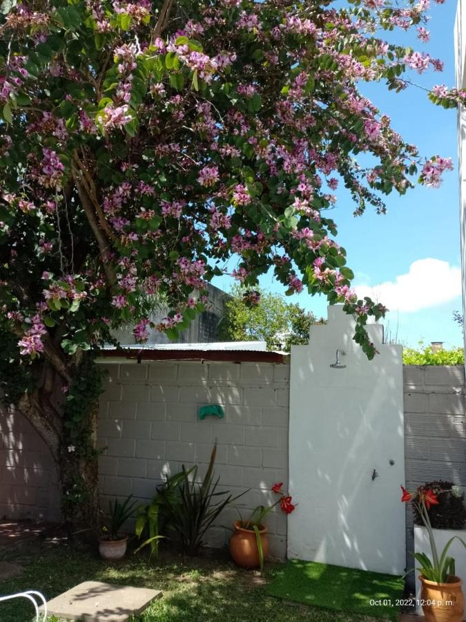 El Zohar 5 pax - B&B