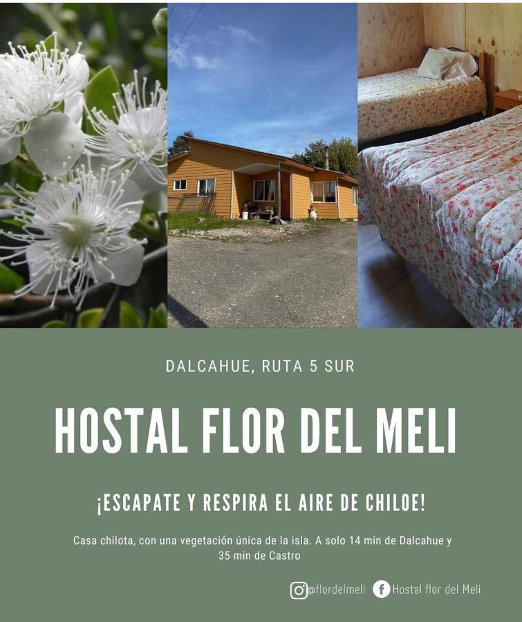 Hostal Flor del Meli - B&B Dalcahue
