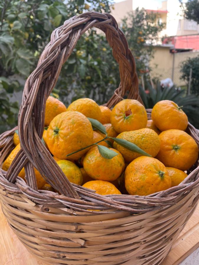 Tangerine Tree House - Bed and Breakfast