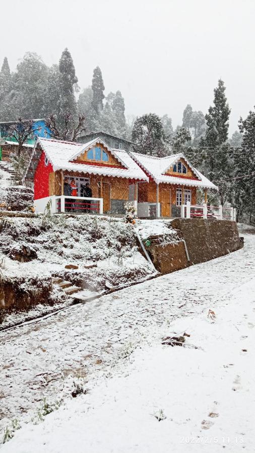 Boho Homestay, Rangbhang - B&B Dārjiling