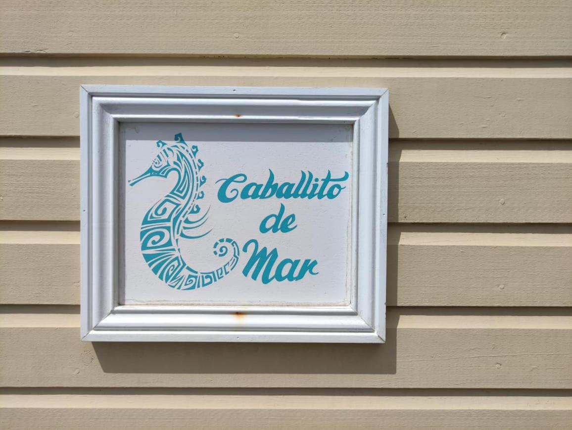 Apartment mit Meerblick