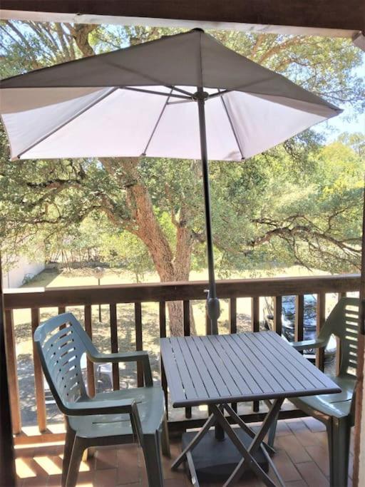 Papillon - B&B Lit-et-Mixe