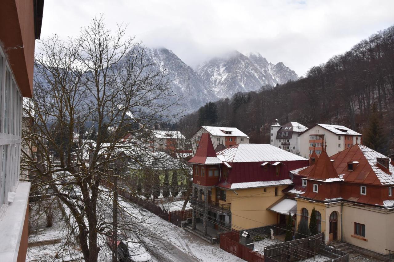 Apartment Victoria - B&B Buşteni