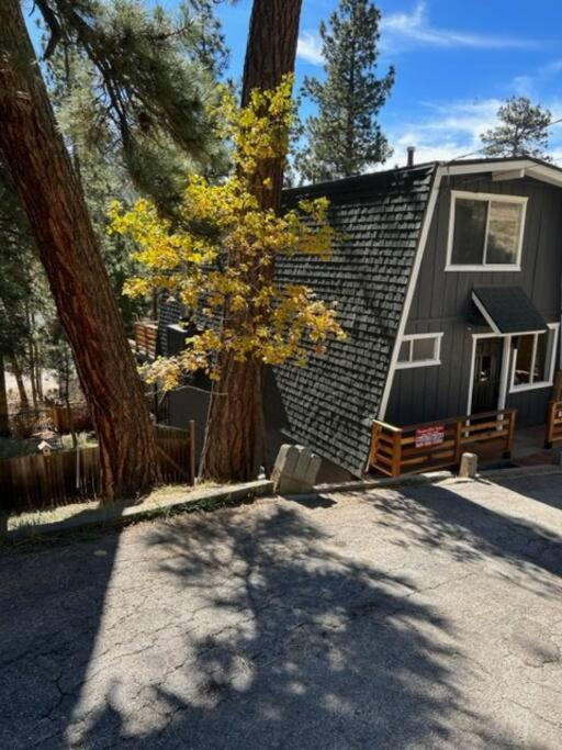 B&B Big Bear Lake - Cozy Crescent Tree Cabin Near Bear Mountain - Bed and Breakfast Big Bear Lake