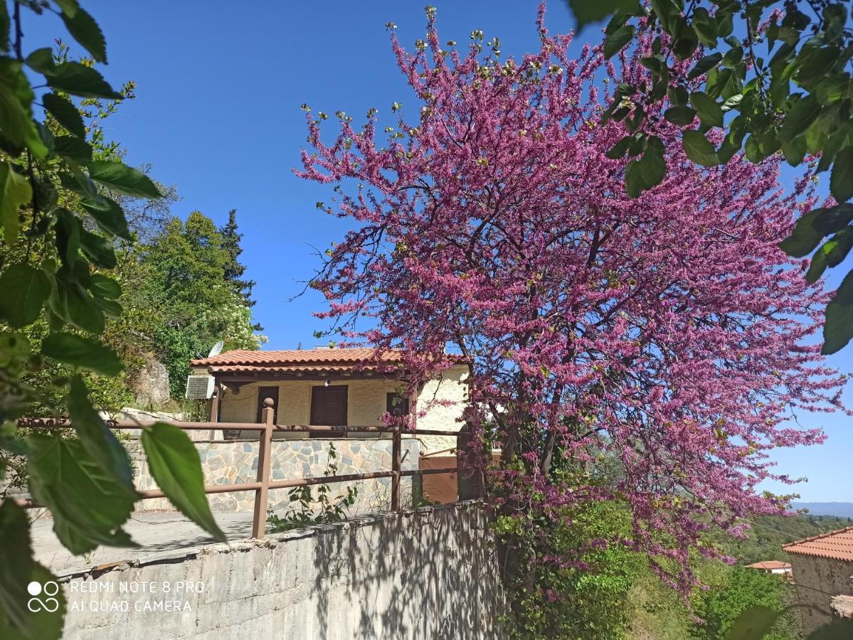 ForestRock Studio FOR SALE TOO - B&B